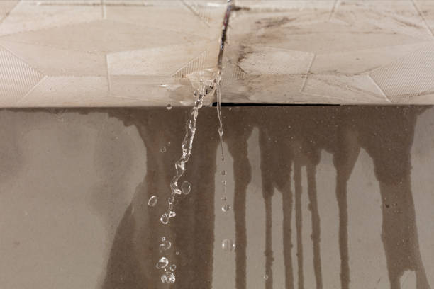 Professional Structural Drying technician working in Attica, MI